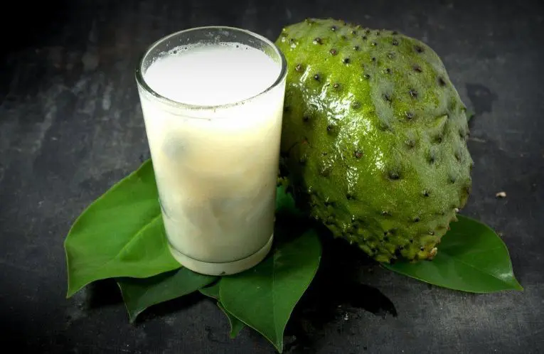 nangka belanda