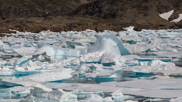 bioma tundra