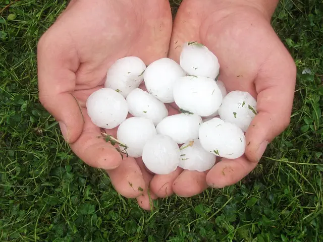 hujan salju