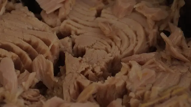 ikan tuna