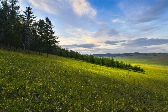 negara mongolia