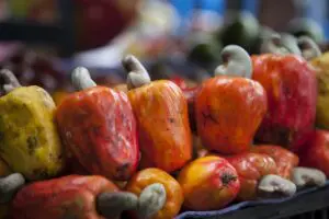 jambu monyet